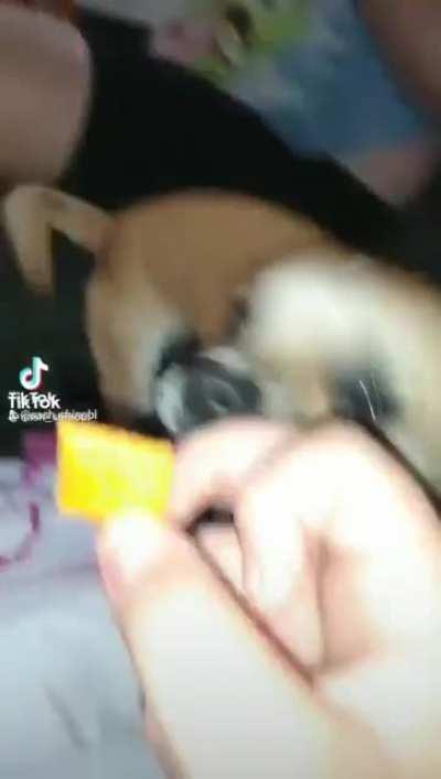 I guess they wanted a Cheez-It