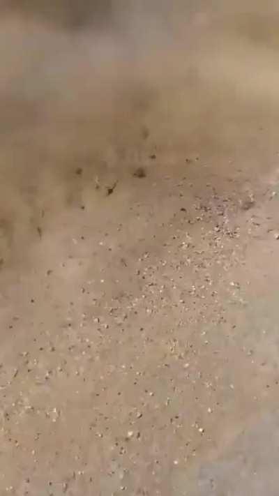 HMFT after i film this fire