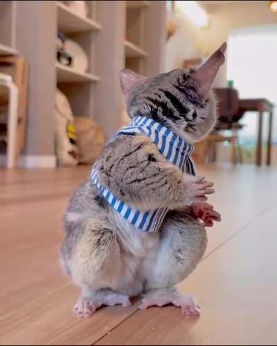 Aliens left it behind on one of their recent visits