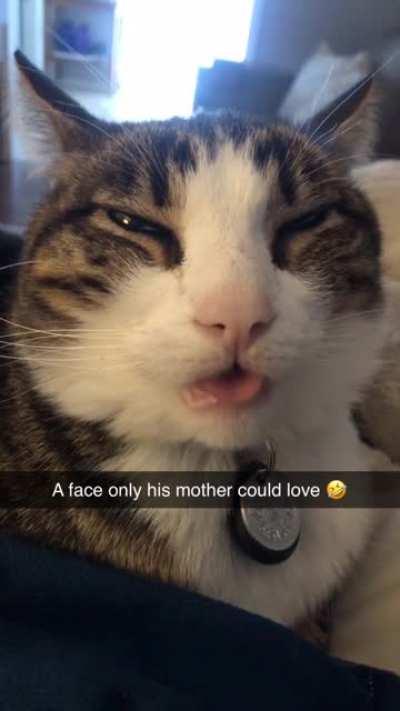 I can’t get enough of this goober!