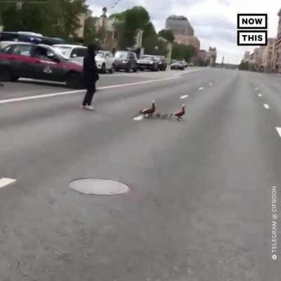 Very Important Persons