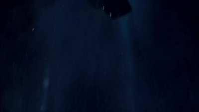 A deadly disease that has tormented humans since ancient Egypt, no problem.