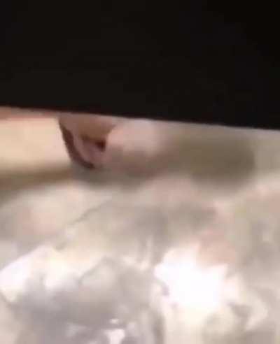 I would shit myself frfr