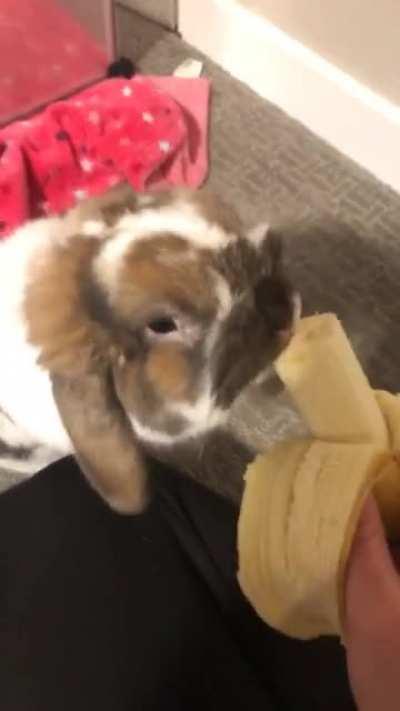 Sharing food with my bff