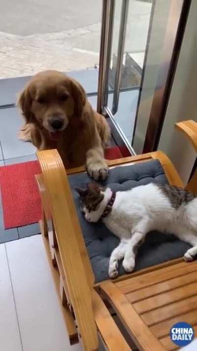 Best friends forever