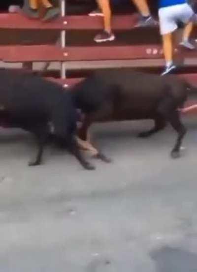 Teamwork makes the dreamwork