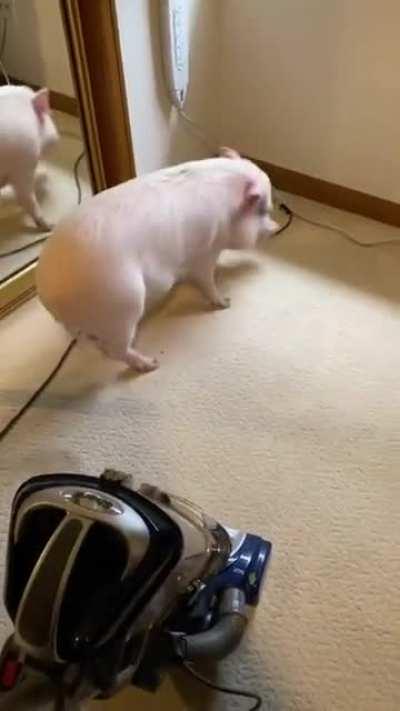 How to stop zzzrrmmm 🐽