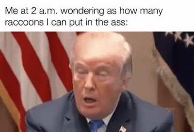 2 procioni in culo non mi piacerebbero