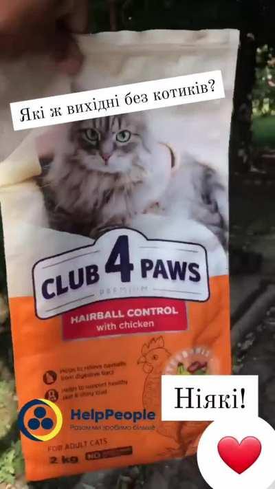 🐱A Cat-Free Weekend? Never! We ensure our feline friends are fed no matter what, Together, we make a difference for these adorable companions. 🐾Visit patreon.com/helppeopleua