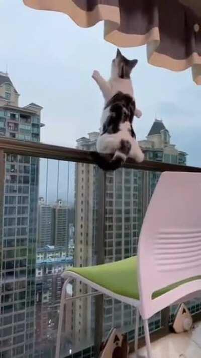 Don’t scare me like that, kitty...