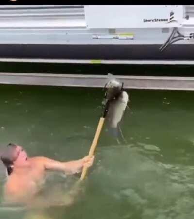 Poseidon don’t need no pole!