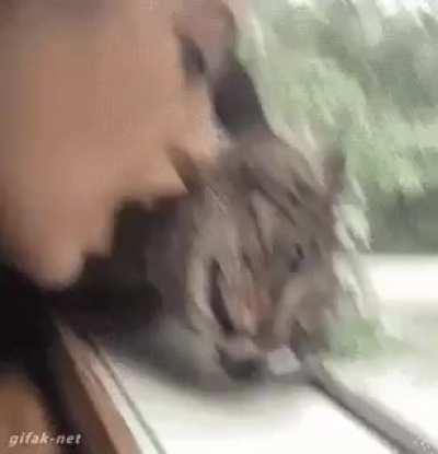 Why won’t you love me!