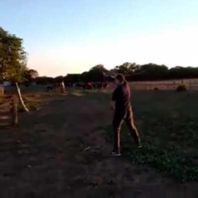 quando falam do meu fri fraire