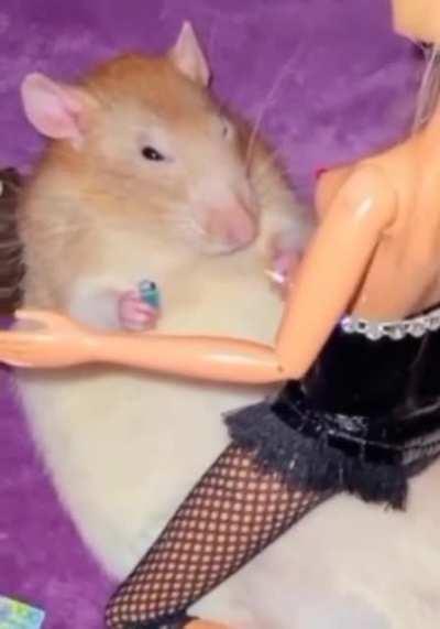 Mi mama: para que quieres un hamster?/ yo: