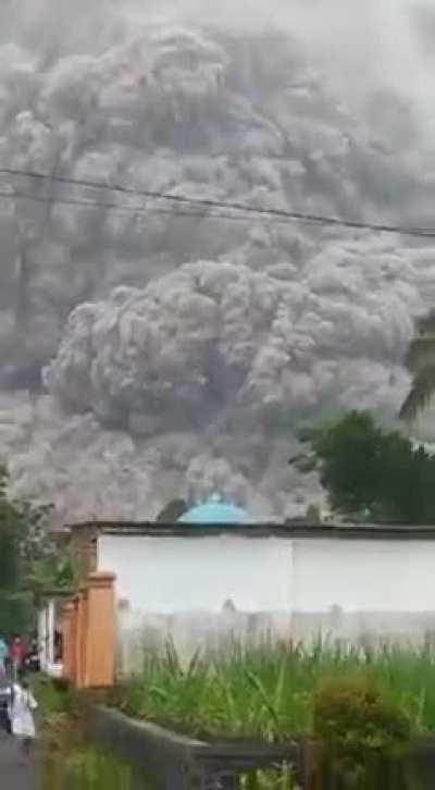 Алла, бурьяла