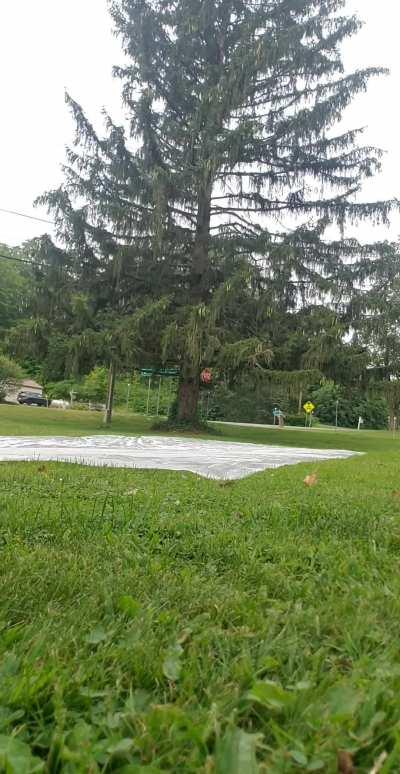 gave the neighborhood a good show ;)