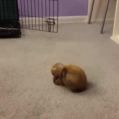 That little hop-turn in the middle is called a 