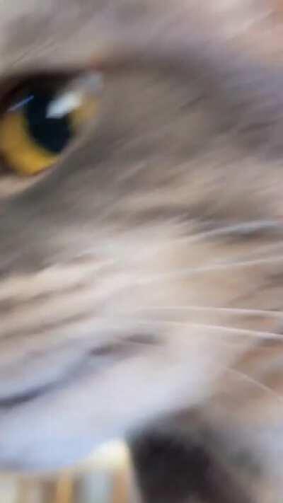 Sophie telling me her new year resolutions