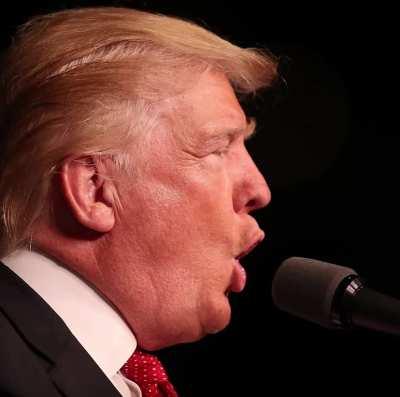 Donald Trump - That's Amore ð