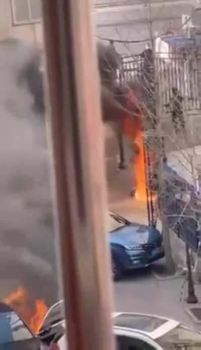 Chaos. It's what's for breakfast.