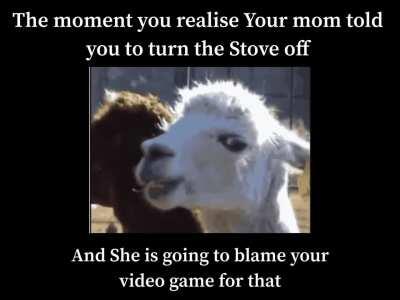 Why is the Smoke alarm Ringing? Wait is that....