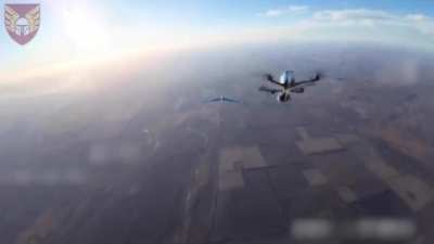 Drone watches a drone kill a drone