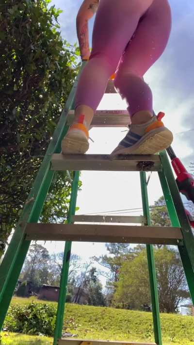 Will you hold the ladder next time? 