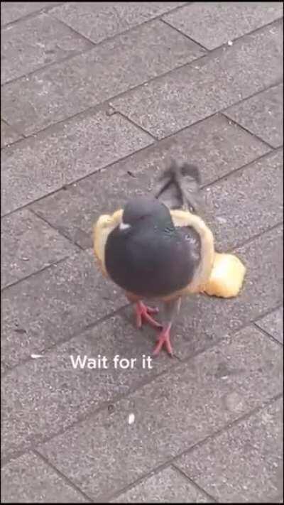 It’s a sign of wealth