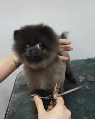 He knows he’s lookin good for clubbin tonight