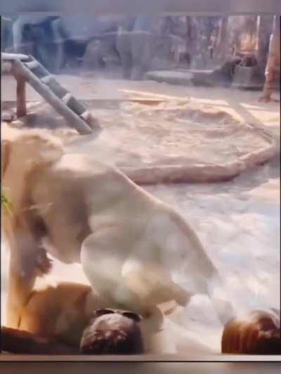 I don’t know how to title this