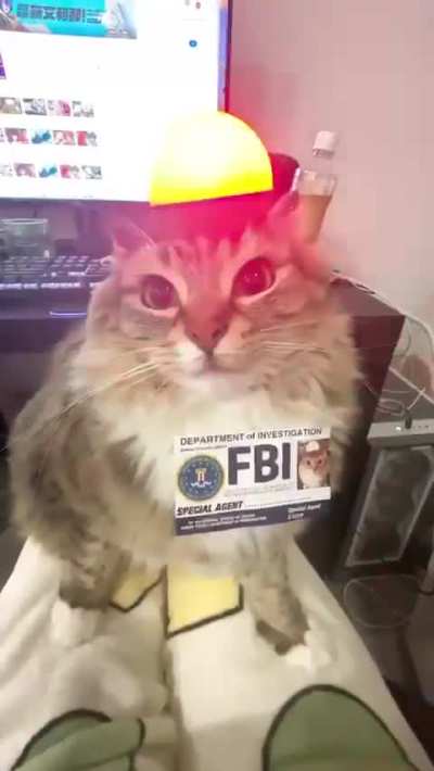 Car Bureau of Investigation