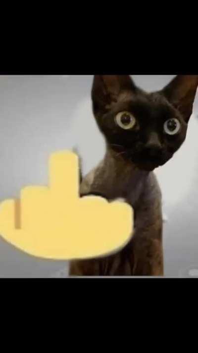 Average life de bucurestean care sta la bloc