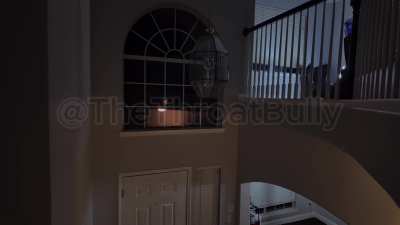 My weird fantasy 😈🍆 make me suck it