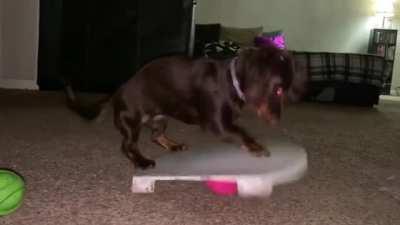 Yeah. Fuck you squeaky.