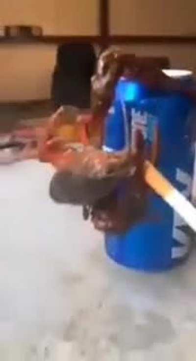 what happend to our friend