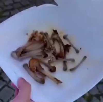 Bruh being generous.