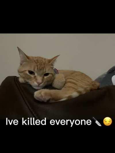 This is my favorite tiktok trend and I had to hop on the trend