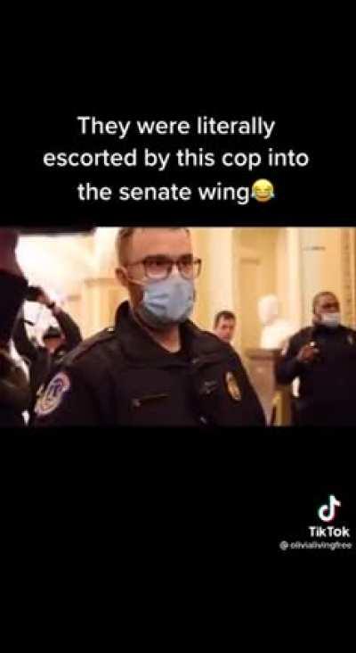 Random TikTok shows more facts than CNN