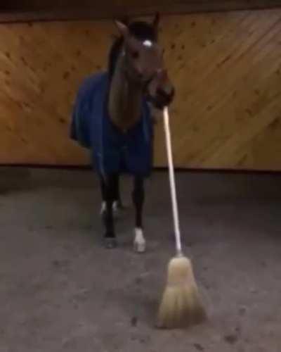 horse forced to do unpaid labor