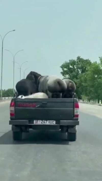 *A Carola le ha gustado la publicación*