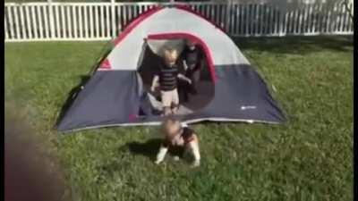 Pick up your fucking feet