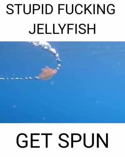 Dumbass jellyfish