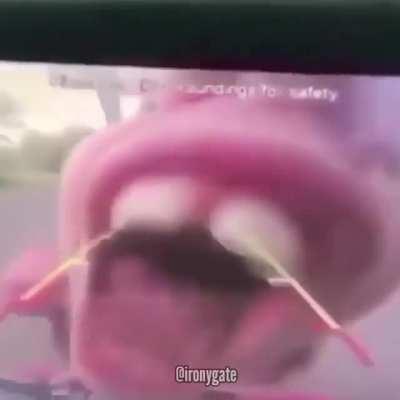 That doesn't look right