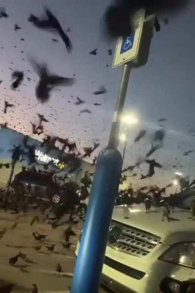 Comrades, it is time...FOR RANKEDDD