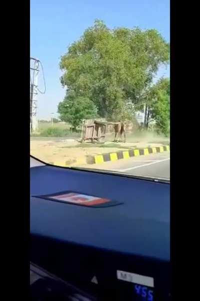 WCGW Riding a Horse Cart