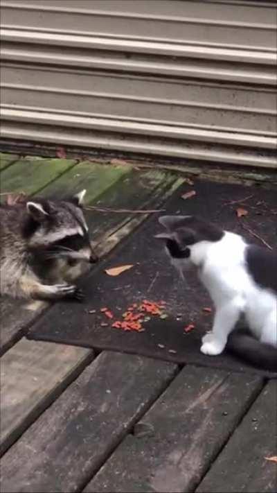 Sneaky Grabbies Get Denied