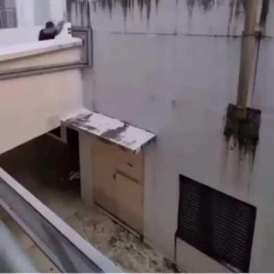 What could go wrong diving head first in parkour