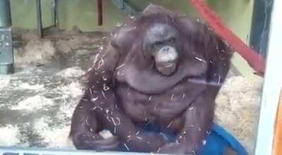 noo a donde te sentasteee