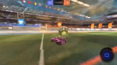 10yr old Grand Champion looking for advice! Please help!