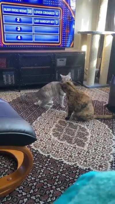 Figuring out the best attack angle